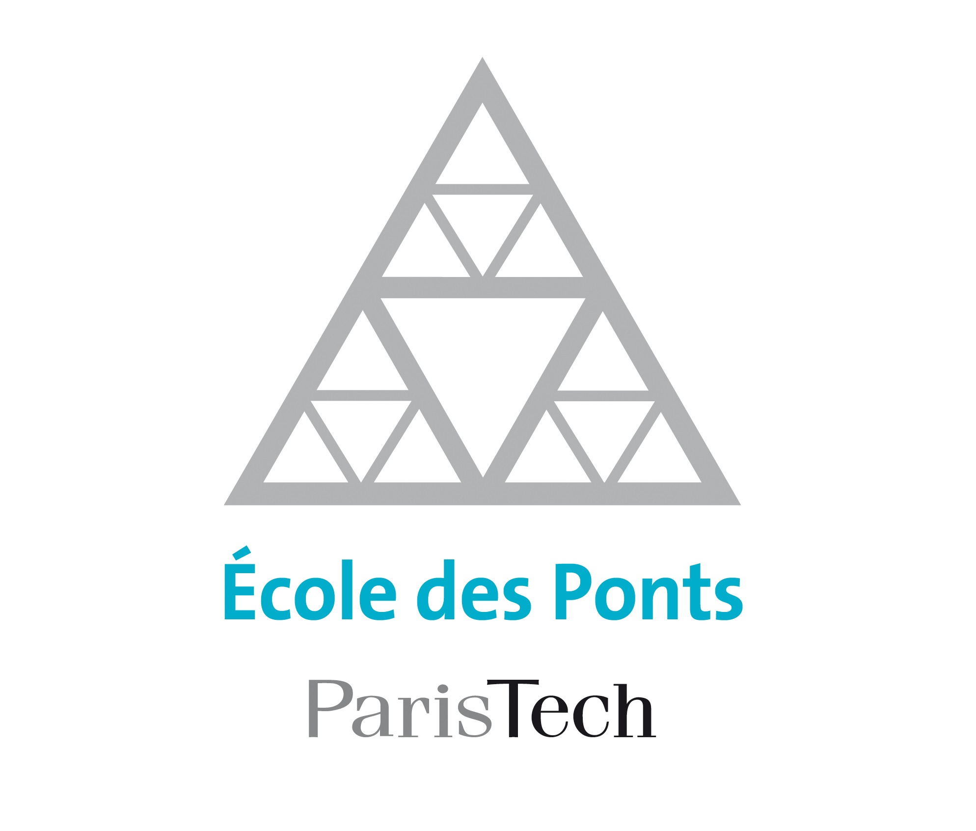 ecole_des_ponts_paristech_2014_rvb300.jpg