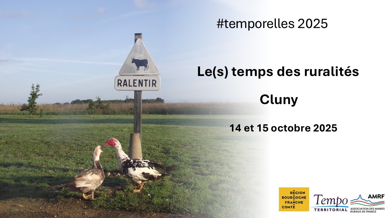 Visuel Temp Terrorial