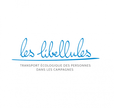 LES LIBELLULES