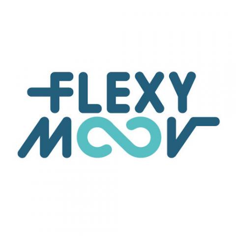 Flexy Moov